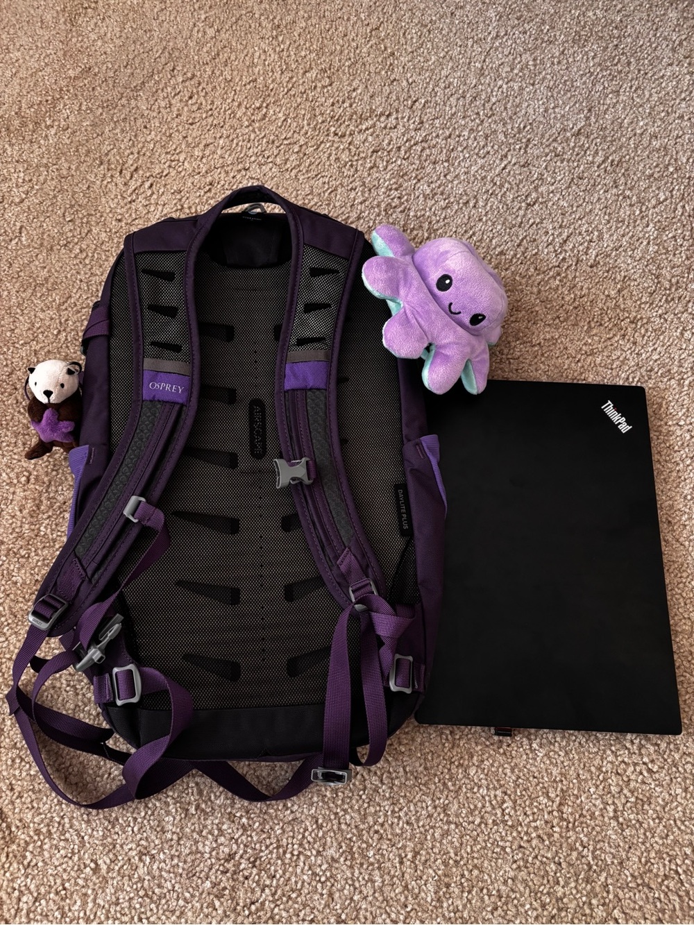 OSPREY Purple Daylite Plus Backpack - Picture 7 of 9